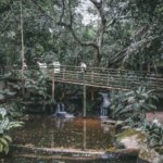 10 [[รีวิว]] ท่องเที่ยวสบายใจ ณ สวนสัตว์เขาเขียว จ.ชลบุรี โดยชาว Pantip