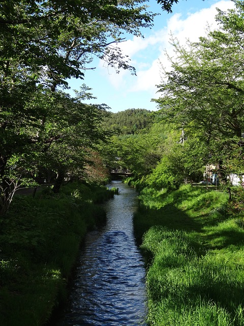 รวมรีวิว 8 กระทู้Pantip ว่าด้วยเรื่อง Oshino Hakkaiหมู่บ้านน้ำใสใกล้ภูเขาไฟฟูจิ