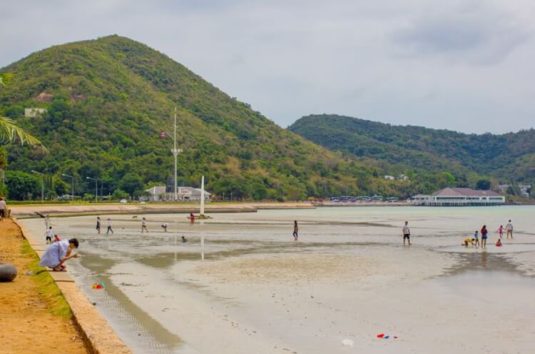 หาดเตยงาม Pantip  ที่พักหาดเตยงาม Pantip