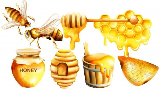 นมผึ้ง pantip
