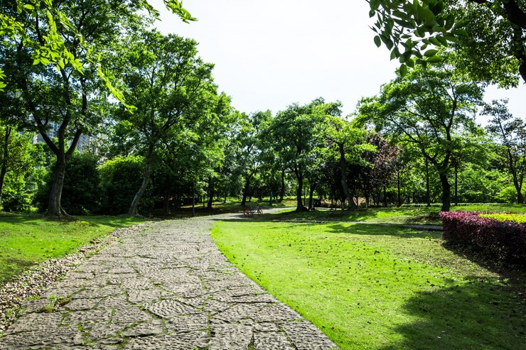 แผ่น ปู ทาง เดิน ใน สวน Pantip