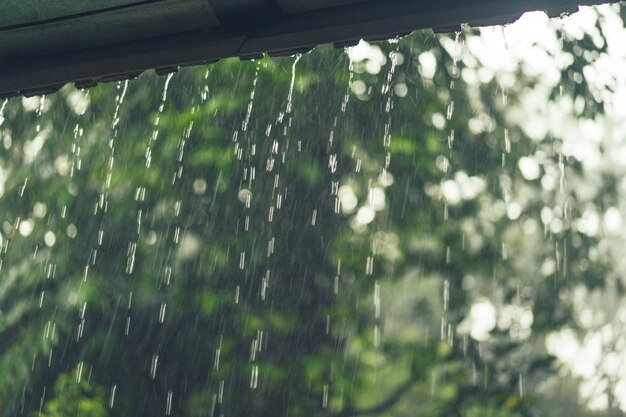 ระแนงกันฝน Pantip